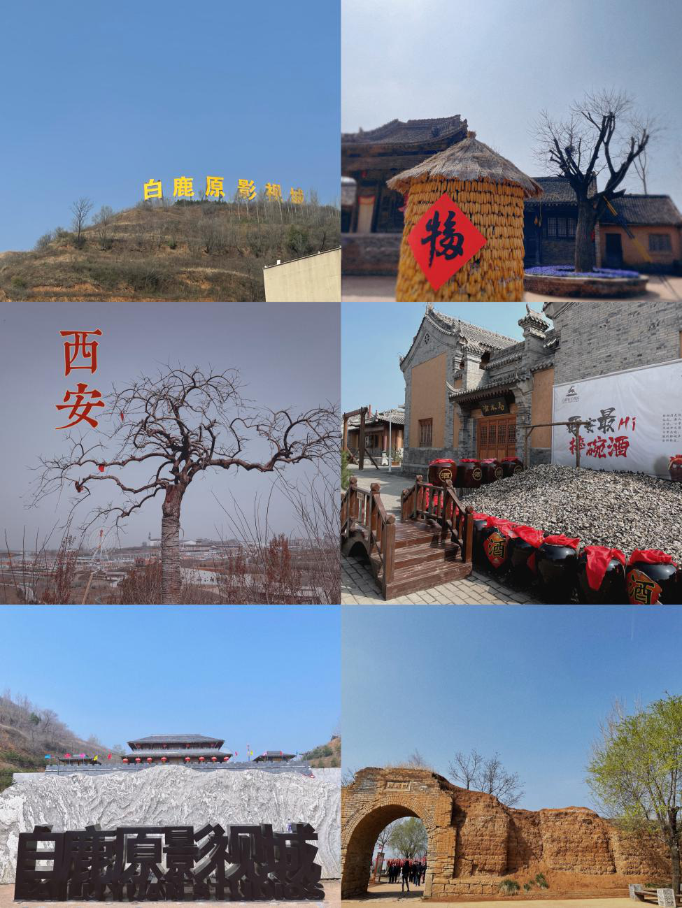 圖片1.png 圖片1.png